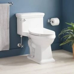 Budget 😍 Signature Hardware Key West 1.28 gpf Elongated One Piece ADA Compliant Toilet with Seat in White 🥰 -Signature Hardware Shop Query 1092