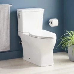 Buy ⭐ Signature Hardware Caraway 1.28 gpf Elongated ADA Floor Mount Toilet Bowl with Seat in White 🎉 -Signature Hardware Shop Query 116
