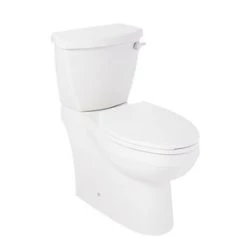 Brand new ✔️ Signature Hardware Bradenton 1.28 gpf Elongated ADA Floor Mount Toilet Bowl in White 🎉