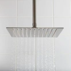 Coupon 🎉 Signature Hardware Beveled Single-function Rain Showerhead in Brushed Nickel 👍