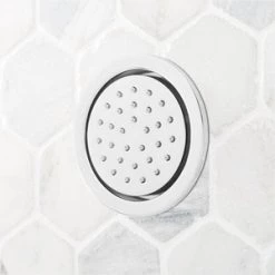 Buy βοΈ Signature Hardware Custom Showering Single Function Body Spray in Polished Chrome β€οΈ