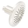 Best Sale 🔔 Signature Hardware Edenton 6 in. Single Function Full Showerhead in Polished Chrome 🛒 -Signature Hardware Shop Query 2433