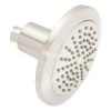 Best Sale π Signature Hardware Edenton 6 in. Single Function Full Showerhead in Polished Nickel π€© 2 Best Sale π Signature Hardware Edenton 6 in. Single Function Full Showerhead in Polished Nickel π€© -Signature Hardware Shop Query 2435
