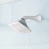 Flash Sale ✨ Signature Hardware Vilamonte Single Function Full Showerhead in Brushed Nickel 🧨 -Signature Hardware Shop Query 2598