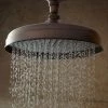 Hot Sale 🧨 Signature Hardware Lambert Single Function Rainfall Showerhead in Oil Rubbed Bronze 😀 -Signature Hardware Shop Query 2938