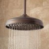 Promo ✨ Signature Hardware Lambert Single Function Rainfall Showerhead in Oil Rubbed Bronze 🛒 -Signature Hardware Shop Query 3955