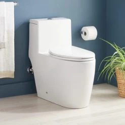 Coupon π€© Signature Hardware Sitka 1.28 gpf Elongated Floor Mount One Piece Toilet with Seat in White π