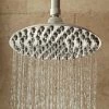 Budget 🥰 Signature Hardware Bostonian Single Function Rainfall Showerhead in Brushed Nickel ⌛
