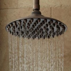 Best deal 🔔 Signature Hardware Bostonian Single Function Rainfall Showerhead in Oil Rubbed Bronze 🎉