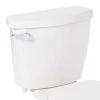 Buy 👏 Signature Hardware Bradenton 1.28 gpf Toilet Tank in White ✨ -Signature Hardware Shop Query 83