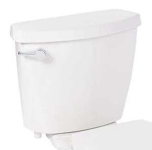 Buy ๐ Signature Hardware Bradenton 1.28 gpf Toilet Tank in White โจ 3 Buy ๐ Signature Hardware Bradenton 1.28 gpf Toilet Tank in White โจ