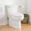 Flash Sale ๐ฅ Signature Hardware Bradenton 1.28 gpf Elongated Floor Mount One Piece Toilet with Seat in White โ 1 Flash Sale ๐ฅ Signature Hardware Bradenton 1.28 gpf Elongated Floor Mount One Piece Toilet with Seat in White โ -Signature Hardware Shop Query 89